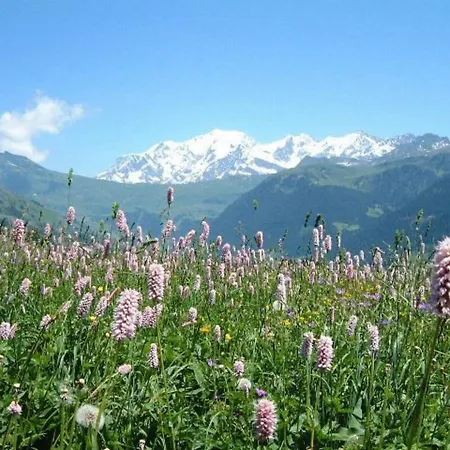 Апартаменты Chaleureux 4 Pers, Animaux Ok, Parking, Skis - Fr-1-293-7 *